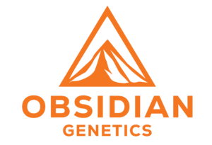 Obsidian Genetics