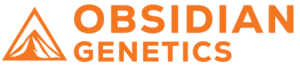 OBSIDIAN LOGO SECONDARY ORANGE