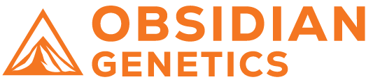 OBSIDIAN LOGO SECONDARY ORANGE